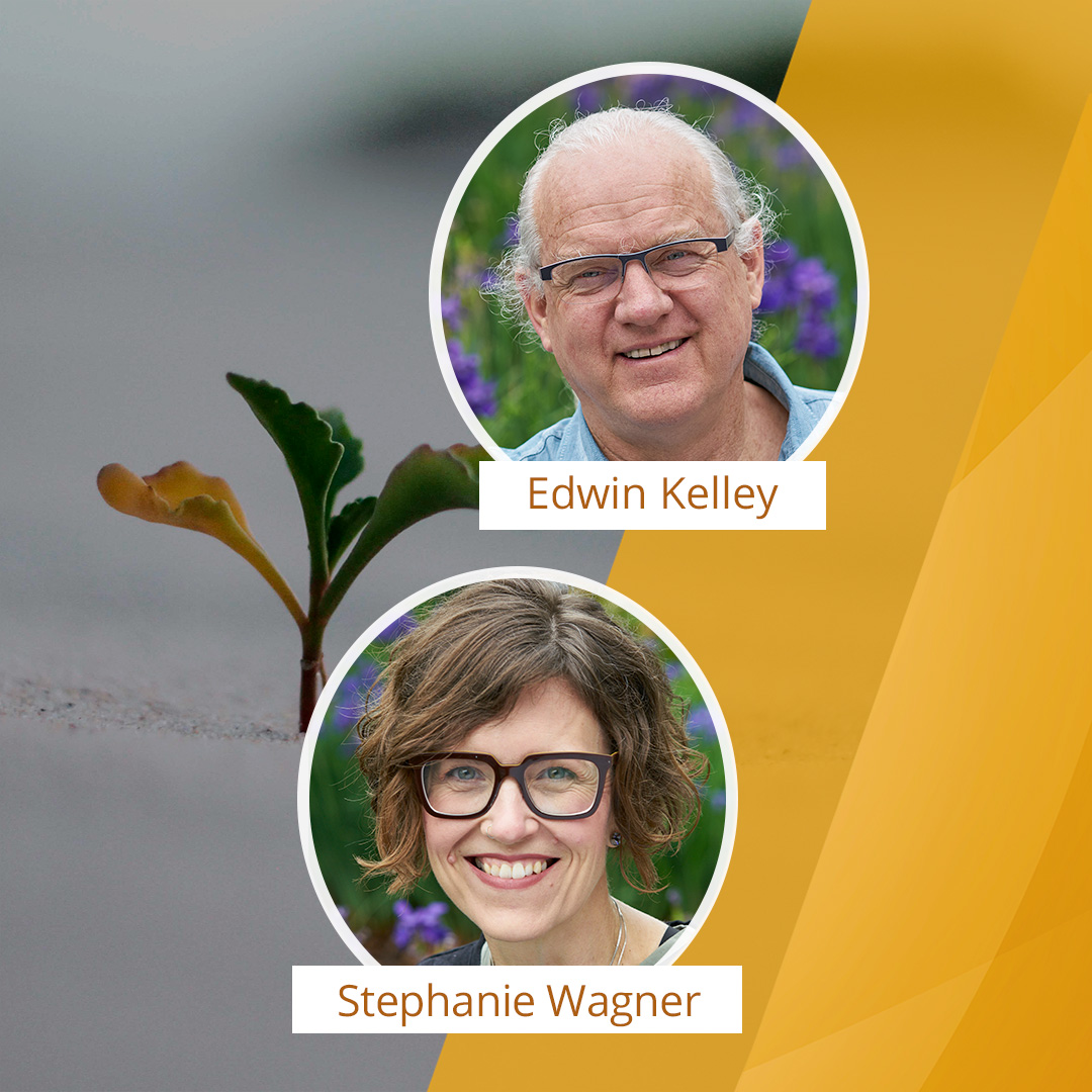 Strengthening Resilience and Well-being through Meditation