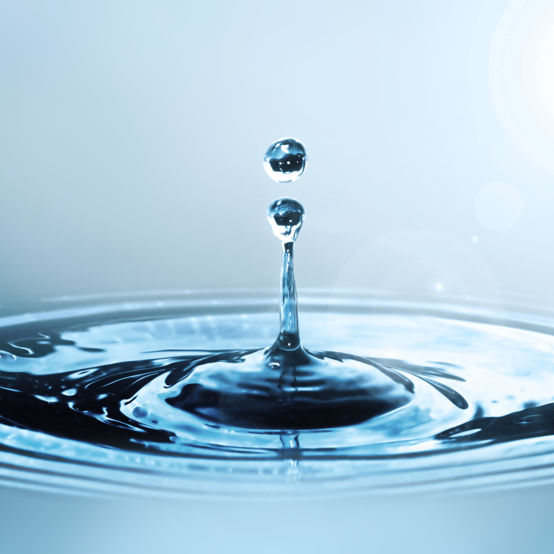 Ruhe finden: Joy of Living 1 Meditationskurs